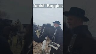 Amish Horse & Buggies Leaving Church. #amishhorseandbuggy #amishcommunity