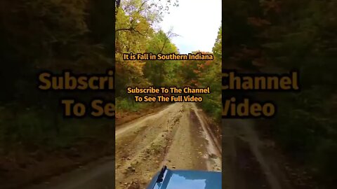 🤠👉 It’s Fall in Southern Indiana #shorts | Overlanding4Fun