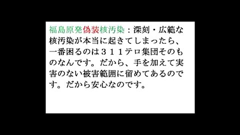 2011.09.18 リチャード・コシミズ講演会 青森弘前