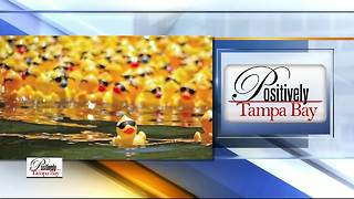 Positively Tampa Bay: Duck Race