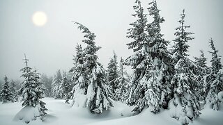 Relaxing Blizzard Sounds for Sleeping