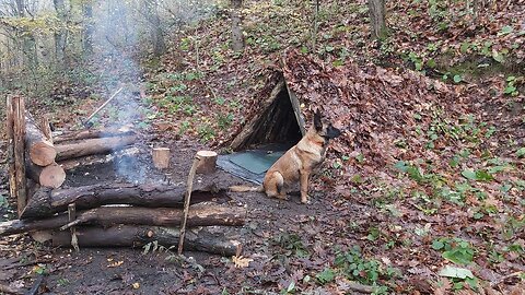 Solo Winter Camp, Campfire Cooking, Making a Slingshot, Off Grid, wilderness camping