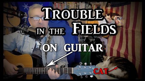 Maura O'Connell's Trouble in the Fields on Guitar (with my cat)