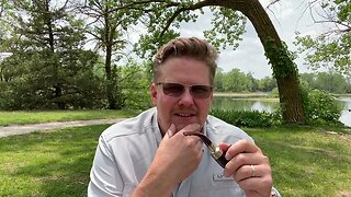 Midday Chat Ep80 Busy, GAW Roster, Artisan Thoughts #pipesmoking #pipes #artisanpipes #ashtonpipes