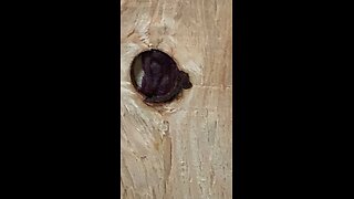 Satisfying wood video