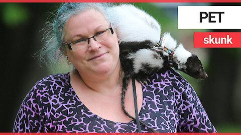 Nurse battling anxiety and depression tells how her symptoms have eased thanks to pet SKUNK