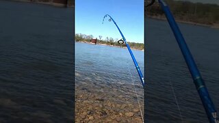 Chickamauga Dam Fishing