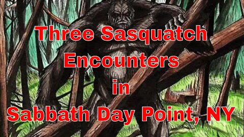 Three Sasquatch Encounters in Sabbath Day Point, NY
