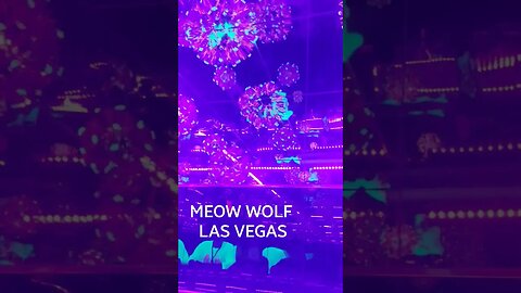 Meow Wolf Area 15 In Las Vegas. FREE admission. Has shows, exabits, secret mazes, dining & bars.