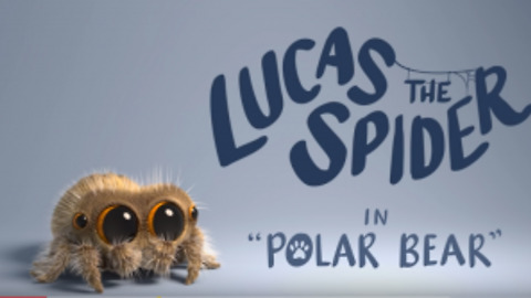 Lucas the ((Spider)) - Polar Bear