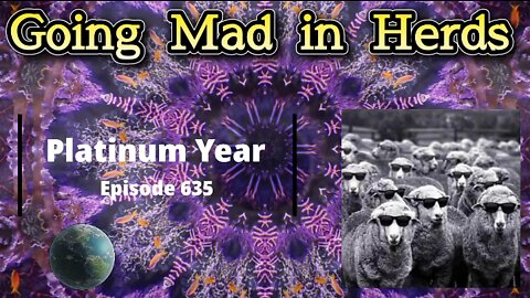 Going Mad in Herds: Full Metal Ox Day 570