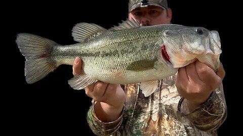 Golf Course’s are for FISHING! (45MPH Wind)