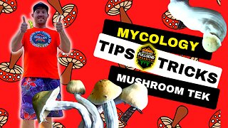 Mushroom Cultivation Tips and Tricks | Simple Steps to take your skills to the next level!