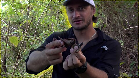 WILD TIME hunting in the Jamaican Jungle (Catch and Cook)