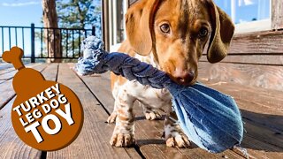 How to make a DIY Denim Turkey Leg Dog Toy