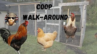 Come Explore My Coop Set Up