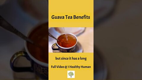 Is Guava Leaf Tea Good For You? What are Benefits of Guava Leaf Tea?