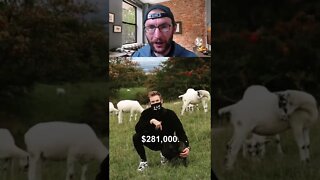 I calculated how much Pewdiepie makes from YouTube streaming