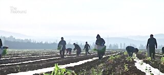 Migrant farmers hit hard in terms of education