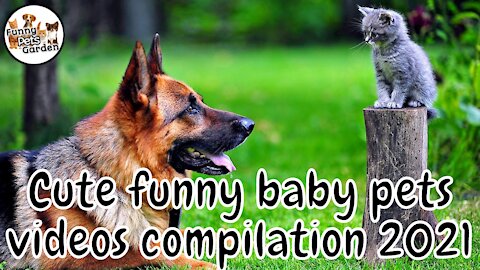 Cute funny baby pets compilation video 2021