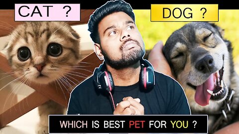 which pet is best dog or cat | घर में कुत्ता पाले या बिल्ली ? 😱 | PRKILL FACTS