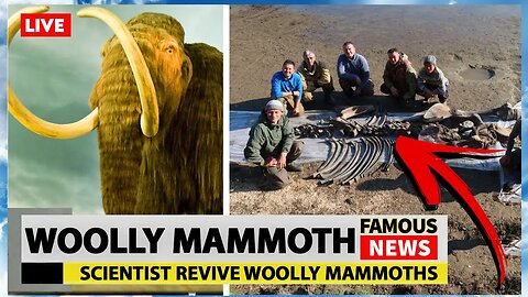 Scientists are Bringing Woolly Mammoth’s Back From The Dead | Famous News