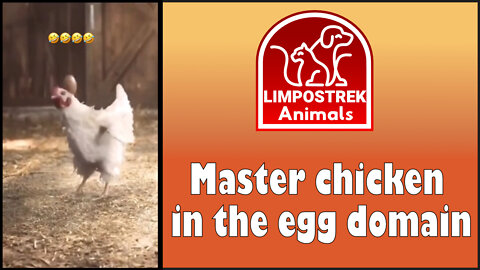 Master chicken in the egg domain
