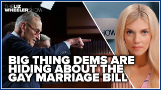 BIG thing Dems are hiding about the gay marriage bill