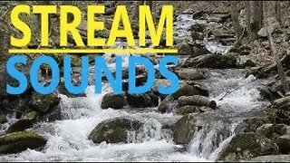 Fight Insomnia with Nature Forest Stream Sounds | Relax, Focus, Study, Meditate, Work, Soothe Baby.