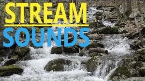 Fight Insomnia with Nature Forest Stream Sounds | Relax, Focus, Study, Meditate, Work, Soothe Baby.