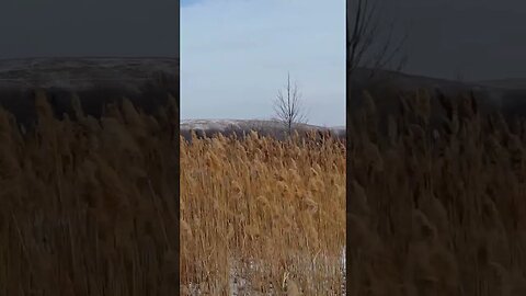 Midwest Prairie mountains.