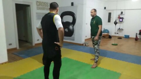 wfmc course fighting and self defense