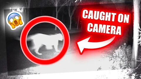 CRAZY THINGS CAUGHT ON CAMERA 🎥😱