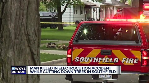 Man dies from electric shock while trimming trees in Southfield