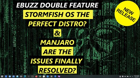 Ebuzz Double Feature - StormFish OS The Perfect Desktop? | Manjaro Are The Issues Finally Resolved?