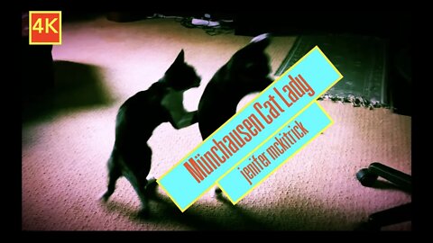 Jenifer McKitrick - "M​ü​nchausen Cat Lady" Jenomatic Records - Official Music Video