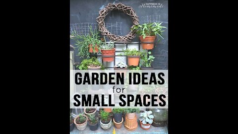 Gardening Ideas in a small space - amazing!