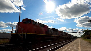 CN 8844 CN 2598 & CN 5710 Engines Manifest Train Eastbound On Strathroy Sub TRACK SIDE