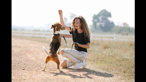 Puppy Training Basics