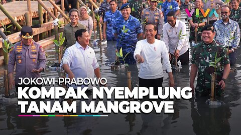 Jokowi Nyemplung Nanam Mangrove hingga Turuti Bocah SD Selfie