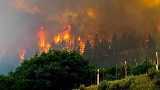 More Than 1,800 Homes Evacuated In Southwest Colorado Fire