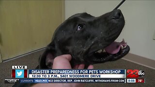 Preparing pet owners and their pets for the next disaster