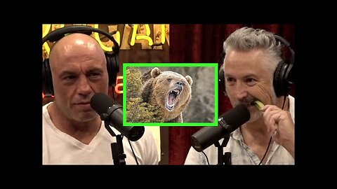 Comedic Actor Harland Williams Has a Tapeworm and Was Attacked by a Grizzly Bear