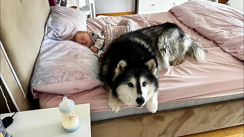 Dog Protects Sleeping Baby From Rolling Off Bed! (Adorable!!)