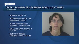 Bond continues for woman accused of Sturgeon bay stabbing