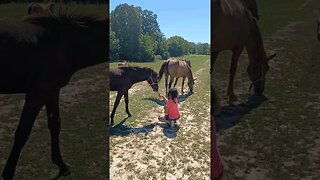 My little cowgirl feeding the Ponies