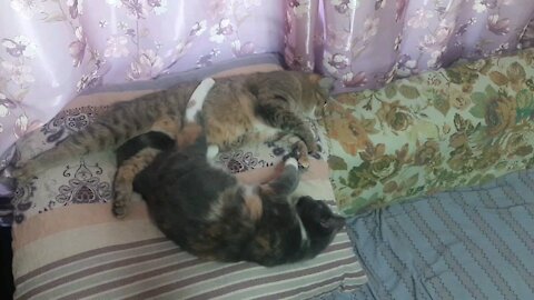 Masya and Bonya sleep in a hug