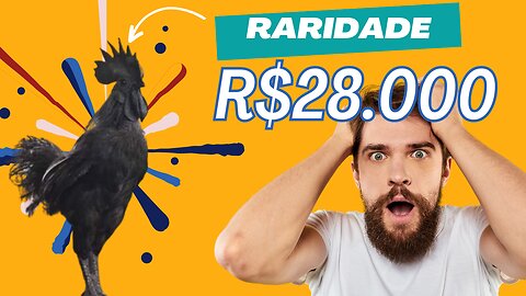 Raridade: Galinha Totalmente Negra Vendida por Valor Incrível!