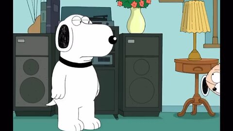 Dog Lover | Dog Cartoon | Peter Griffin | Family guy new episode| Brian and Stewie