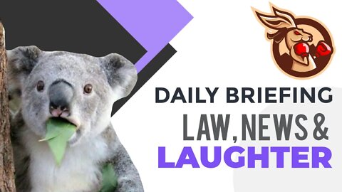 Law, News & Laughter